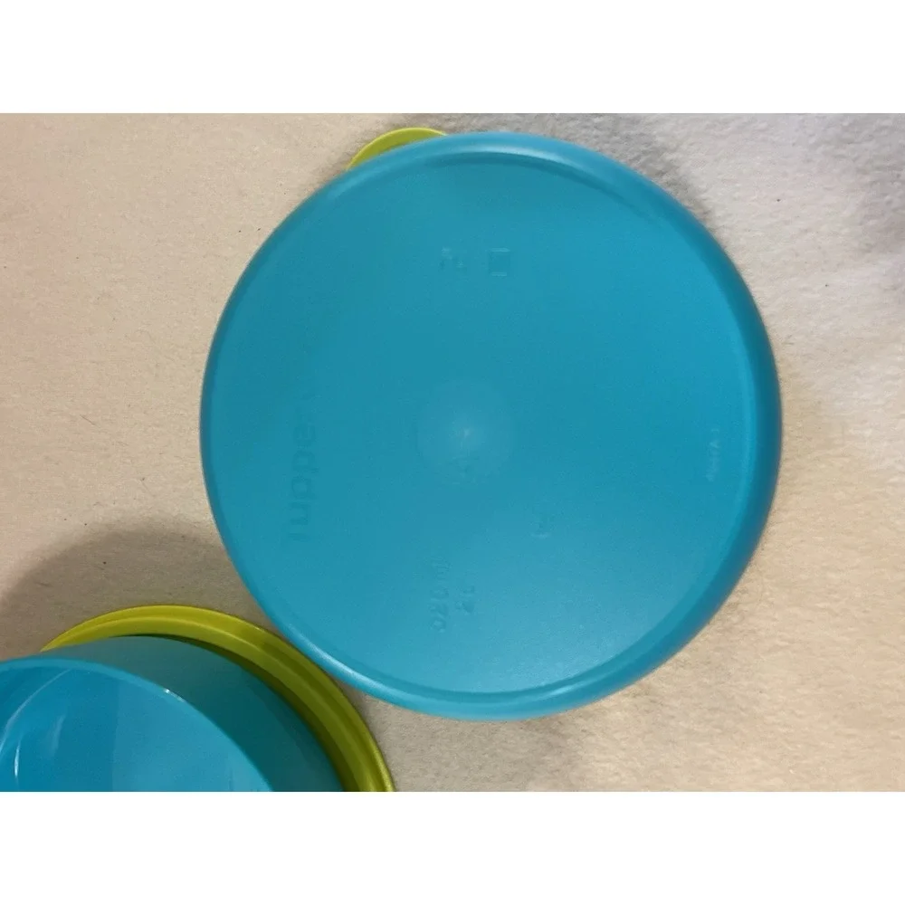 Tupperware TupperKids Set Of 2 Feeding Bowls 16oz Tcare Anti Skid Baby Toddler